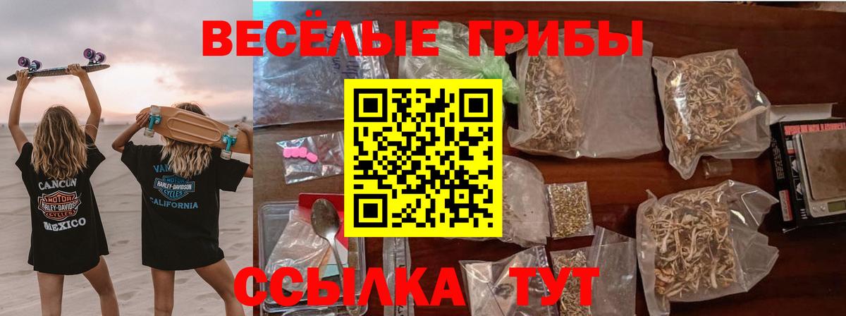 Галлюциногенные грибы GOLDEN TEACHER Минеральные Воды